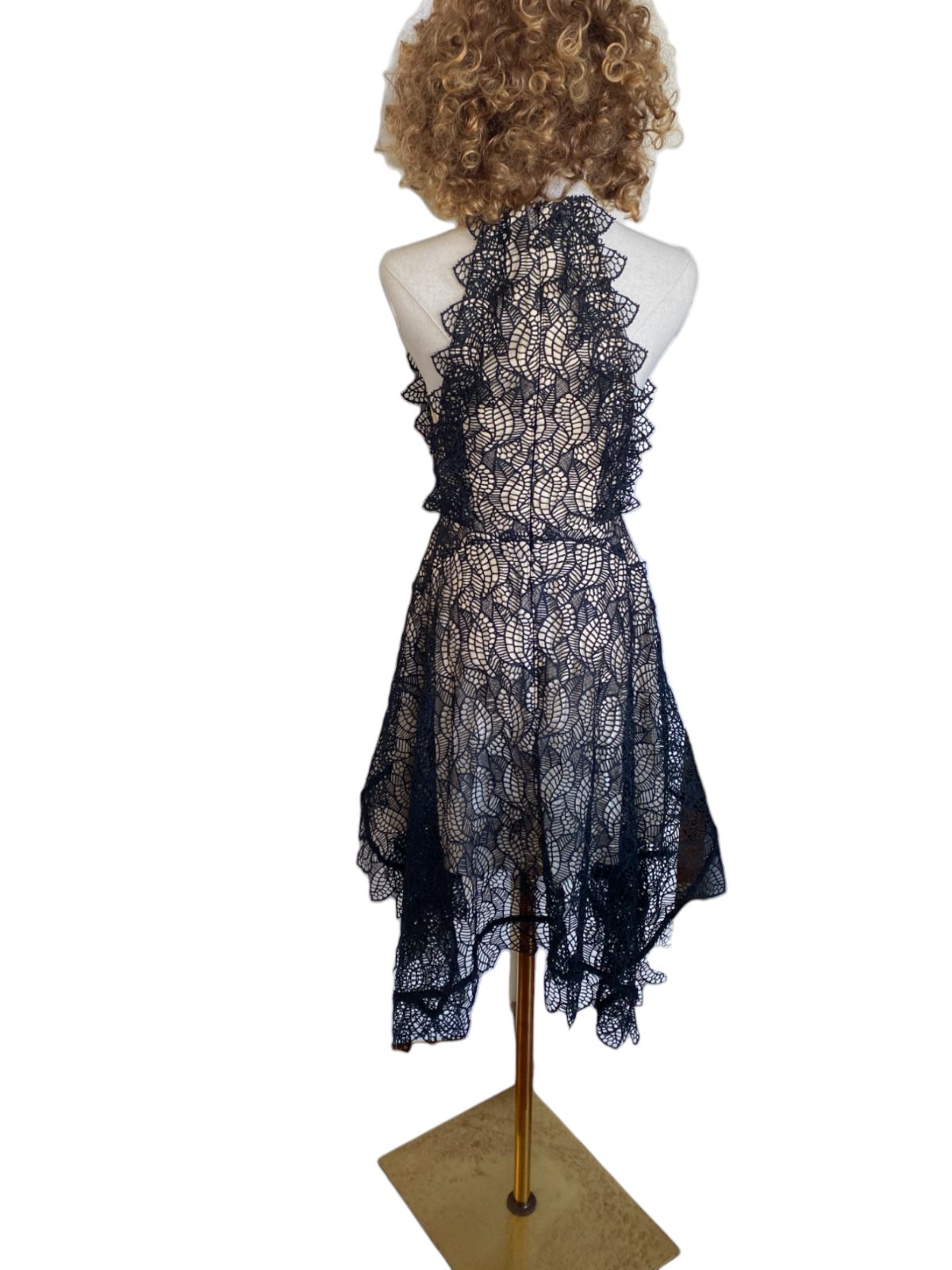 Acler Burton Dress | Black Lace Overlay, Lined, High Neck,