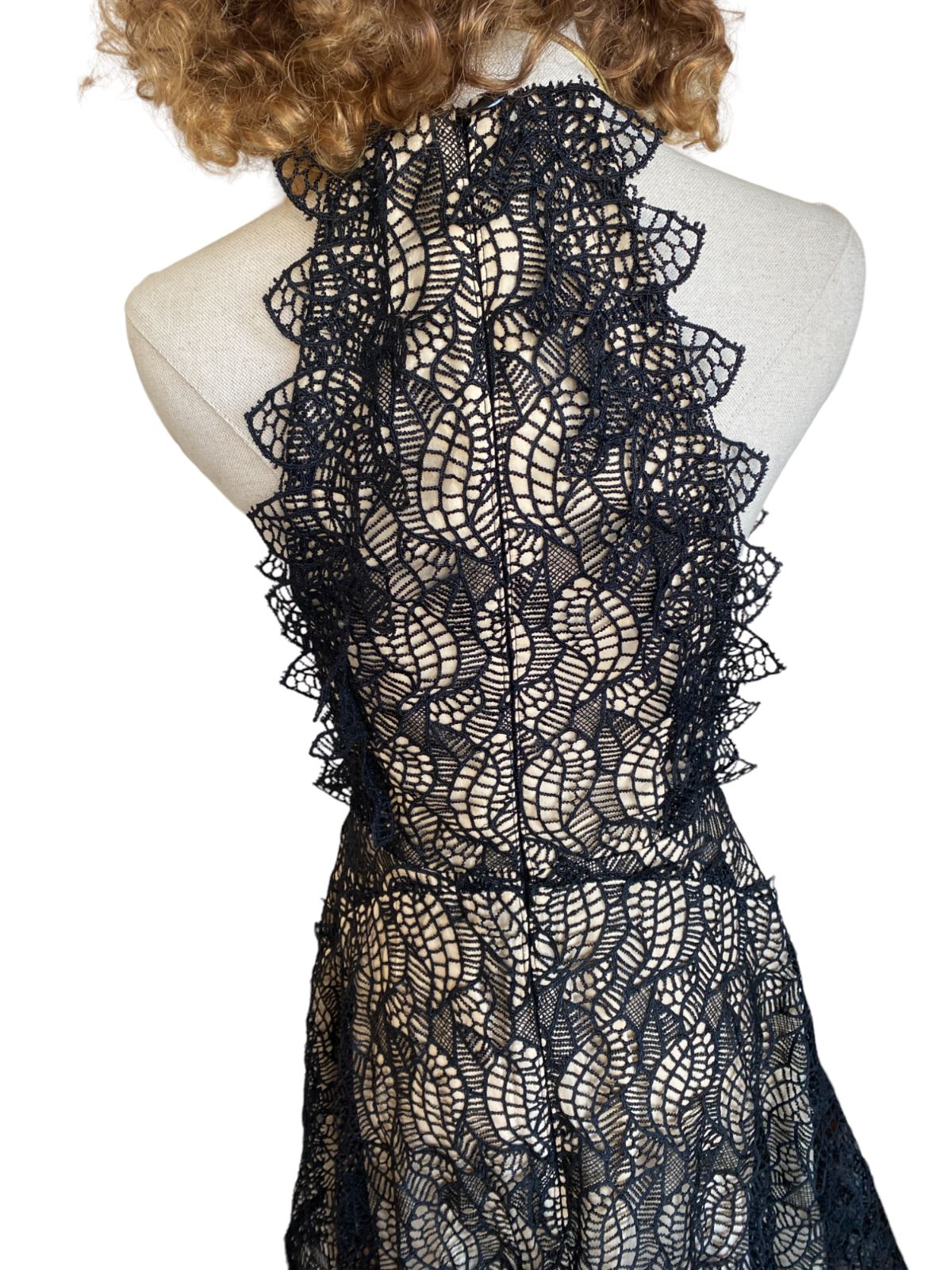 Acler Burton Dress | Black Lace Overlay, Lined, High Neck,
