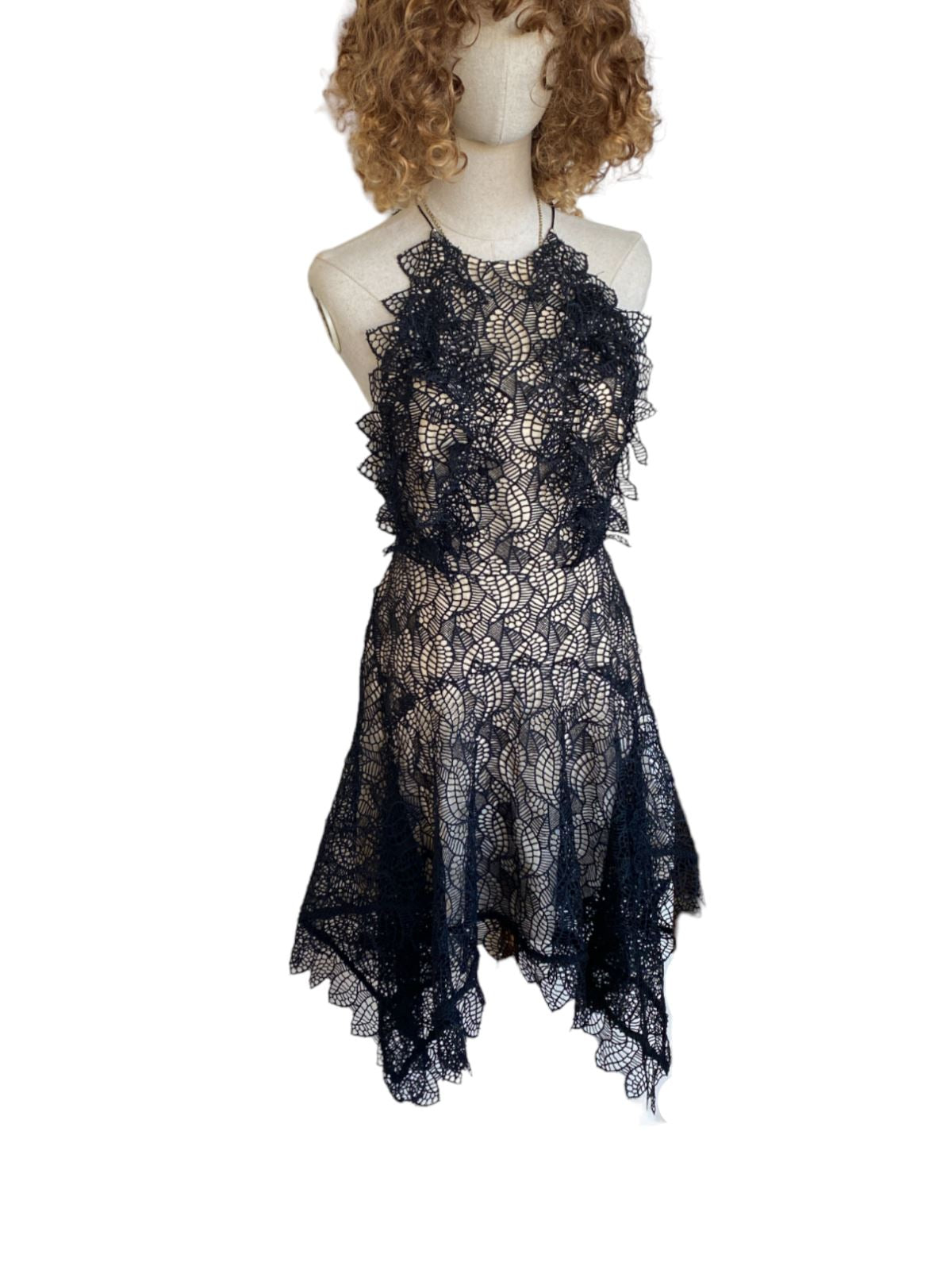 Acler Burton Dress | Black Lace Overlay, Lined, High Neck,