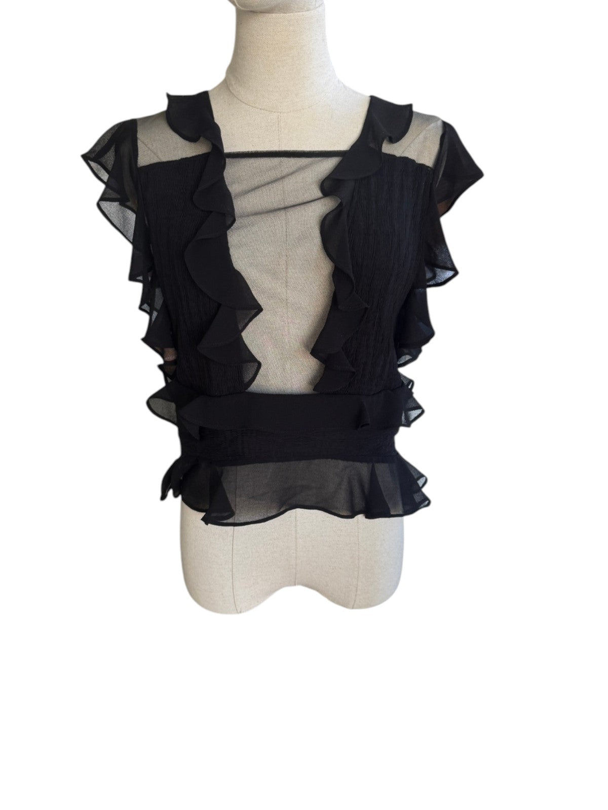Naked Pear Shakuhachi black pleated mesh top with feminine ruffles and sheer inserts on a mannequin